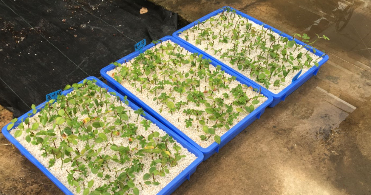 物流場景周轉箱定制服務：從通用容器到精準效率引擎